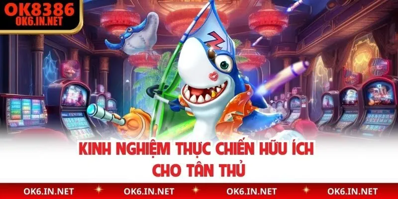 Kinh nghiệm thực chiến hữu ích cho tân thủ